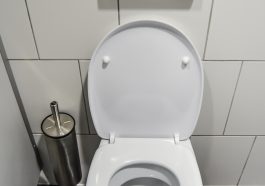 toilet seat