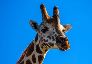 Easy Ways You Can Grow Taller (Overnight)