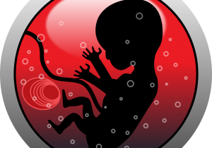 Pregnancy and You –Weeks 15 and 16 Information