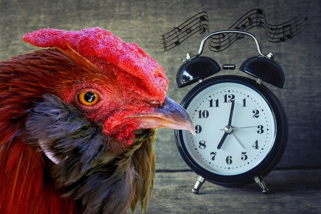 These 10 Insightful Quotes Will Make You Want to Start Waking Up Early