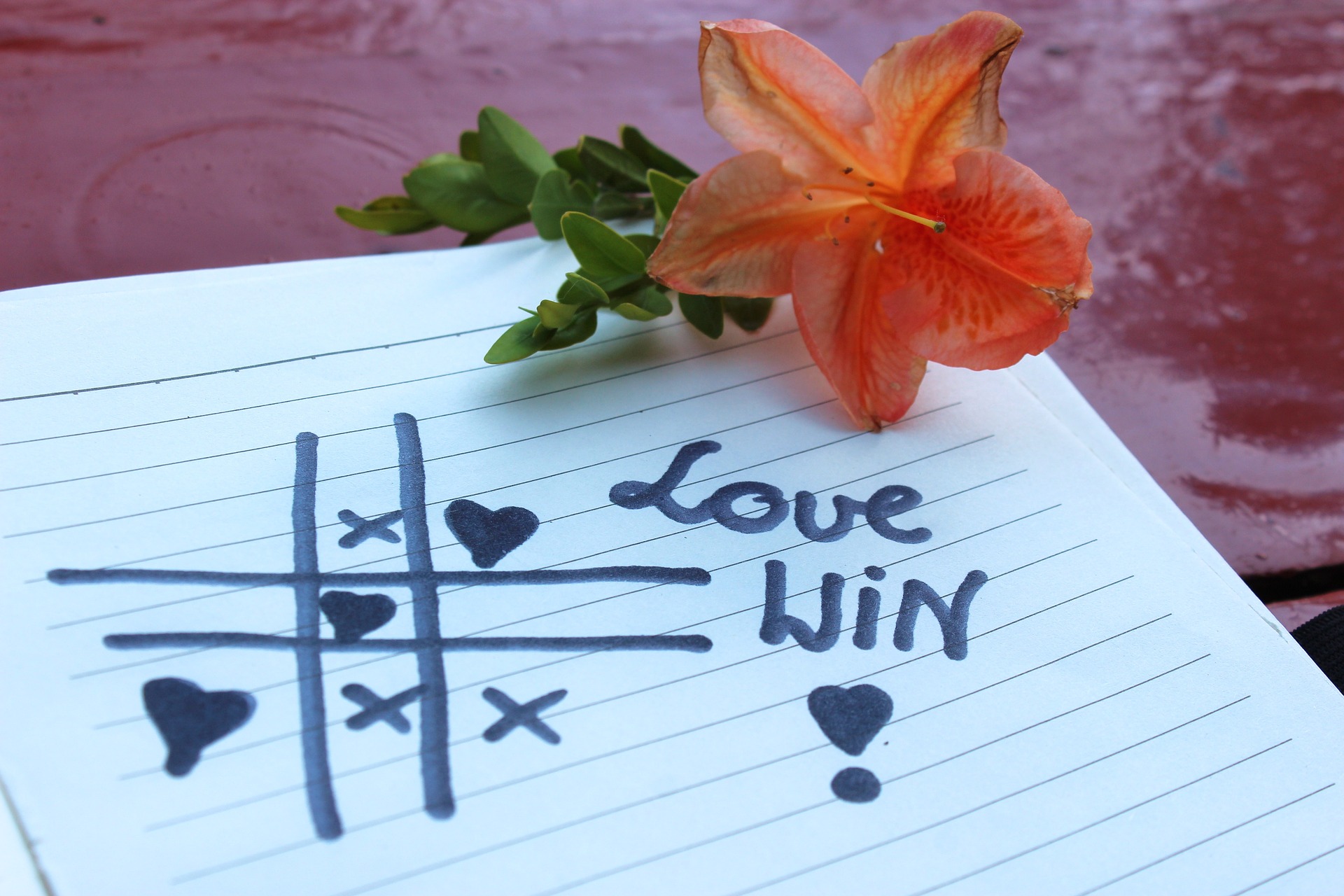 Turn These 10 Thought-provoking Quotes About Finding a Soul Mate Into A High Performing Machine